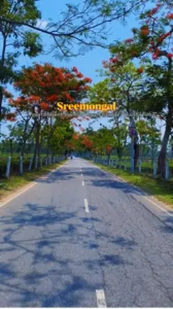 Cinematic temperalat