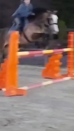 same jump diff clip!