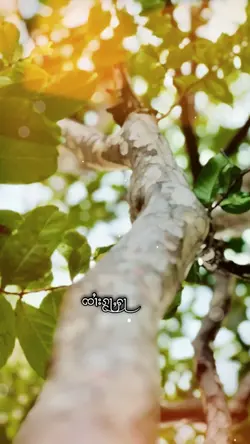 သႂ်ႇၶႅပ်းႁၢင်ႈ1
