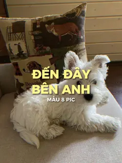 [8] ĐẾN ĐÂY BÊN ANH