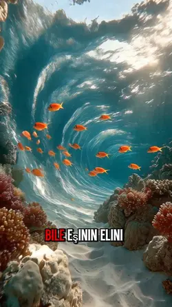 espiri şablonu