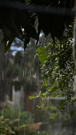 Rainy Days Template