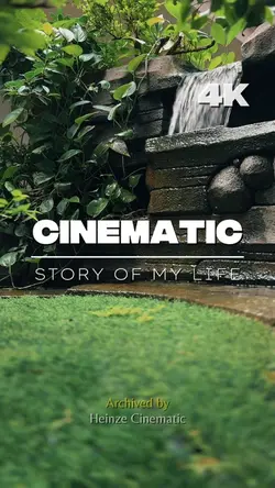 Cinematic Aesthetic 