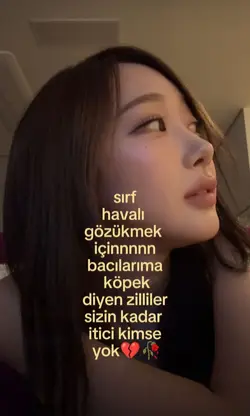 köpek mi gauajjahskd