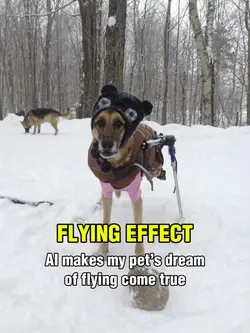 FLYING EFFECT 
