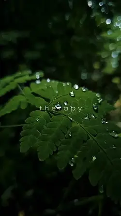 nature therapy