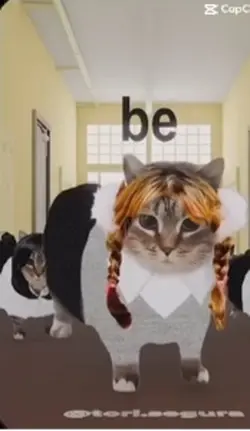 Singing cats 2