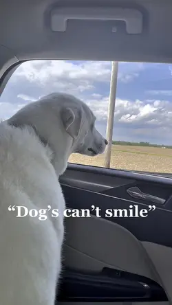 Dogs can’t smile!