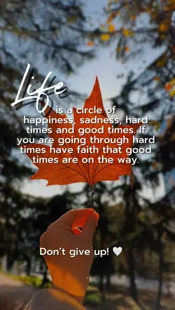 Don’t Give Up! 🤍