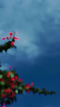 Slowmotion video 🌸✨