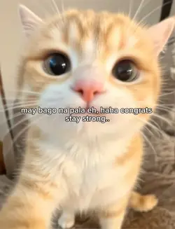 stay strong 