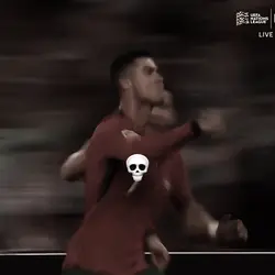 Freeze Frames Trend 