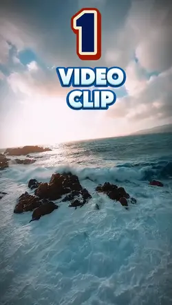 1 video or clip