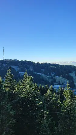 SWITZERLAND VIBES