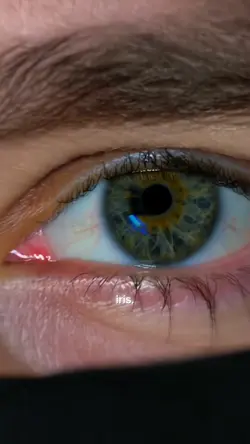 im lost in your iris