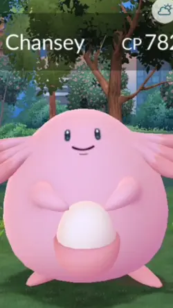 Pokemon Chansy