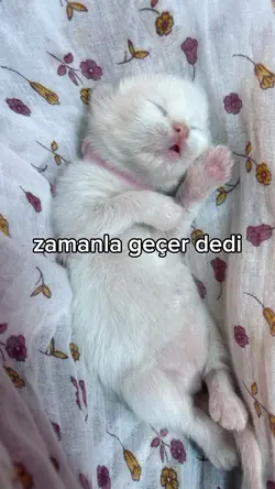 zamanla zamanla
