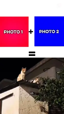 NEW VIRAL TEMPLATE