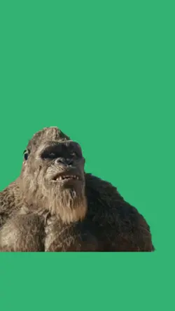 kong roar
