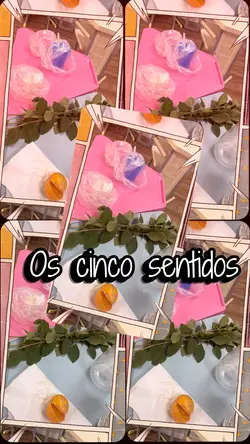 5 sentidos
