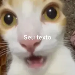 …
