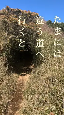 日常生活　⛰️ ordinary days