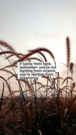 Keep going.