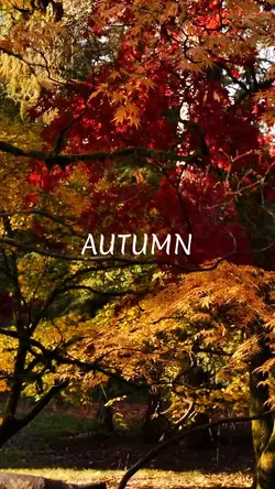 Autumn season 
