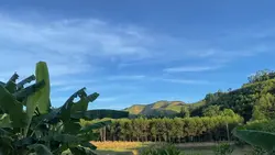 Thiên nhiên mẫu ngan