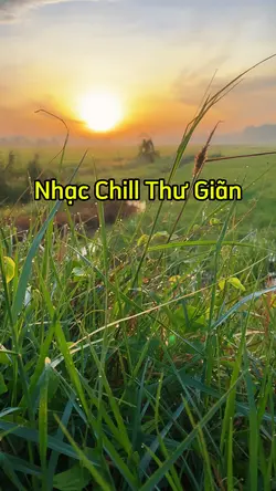 Nhạc Chill Thư Giãn