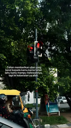 cepe bgt..