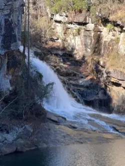 Live Waterfalls
