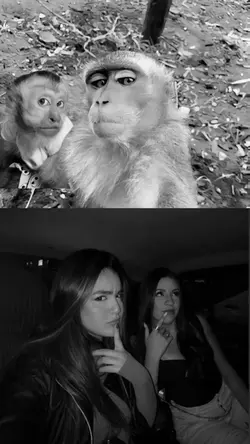 Amigas 🤍