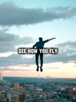 Fly fly fly
