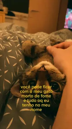 é tudo oq eu tenho 