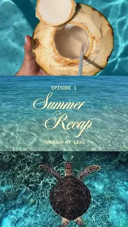 Summer Recap