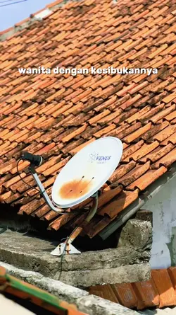 wnita dg kesibukanya