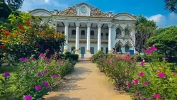 যেমন শিমুল এর তুলা 