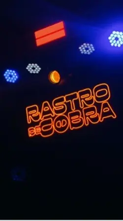 FESTA - SHOW