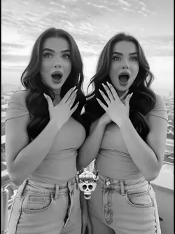 Twin filter