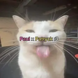 @patryckd || 💛