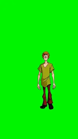 Shaggy 