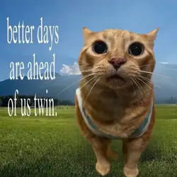 im so sorry.