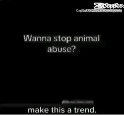 Will u do it?