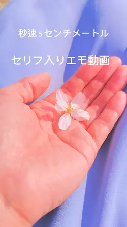 秒速５センチメートル。エモ動画。セリフ有