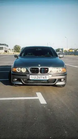 dream