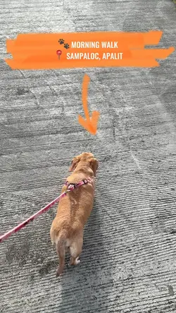 Morning Walk