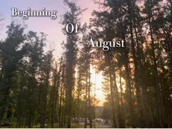 August Stats 