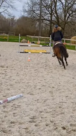 cours de mercredi 