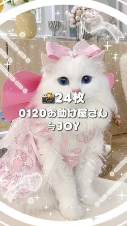 🎵0120お助け屋さん